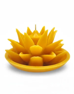 Fiore di Loto in Cera d'Api