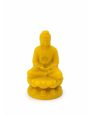 Buddha in Cera d'Api